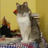 Отзыв от Эмма Белякова